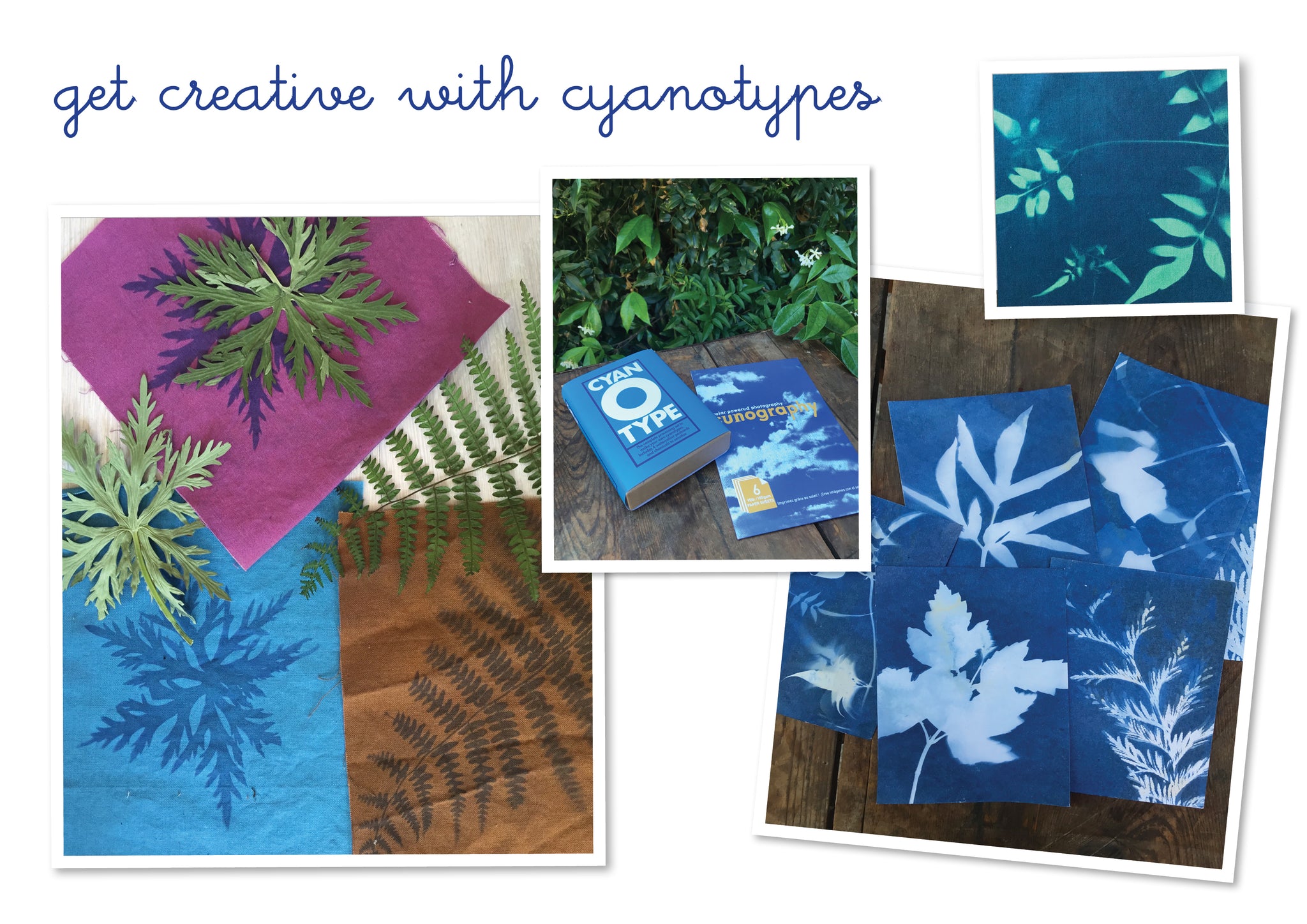 get creative with cyanotypes