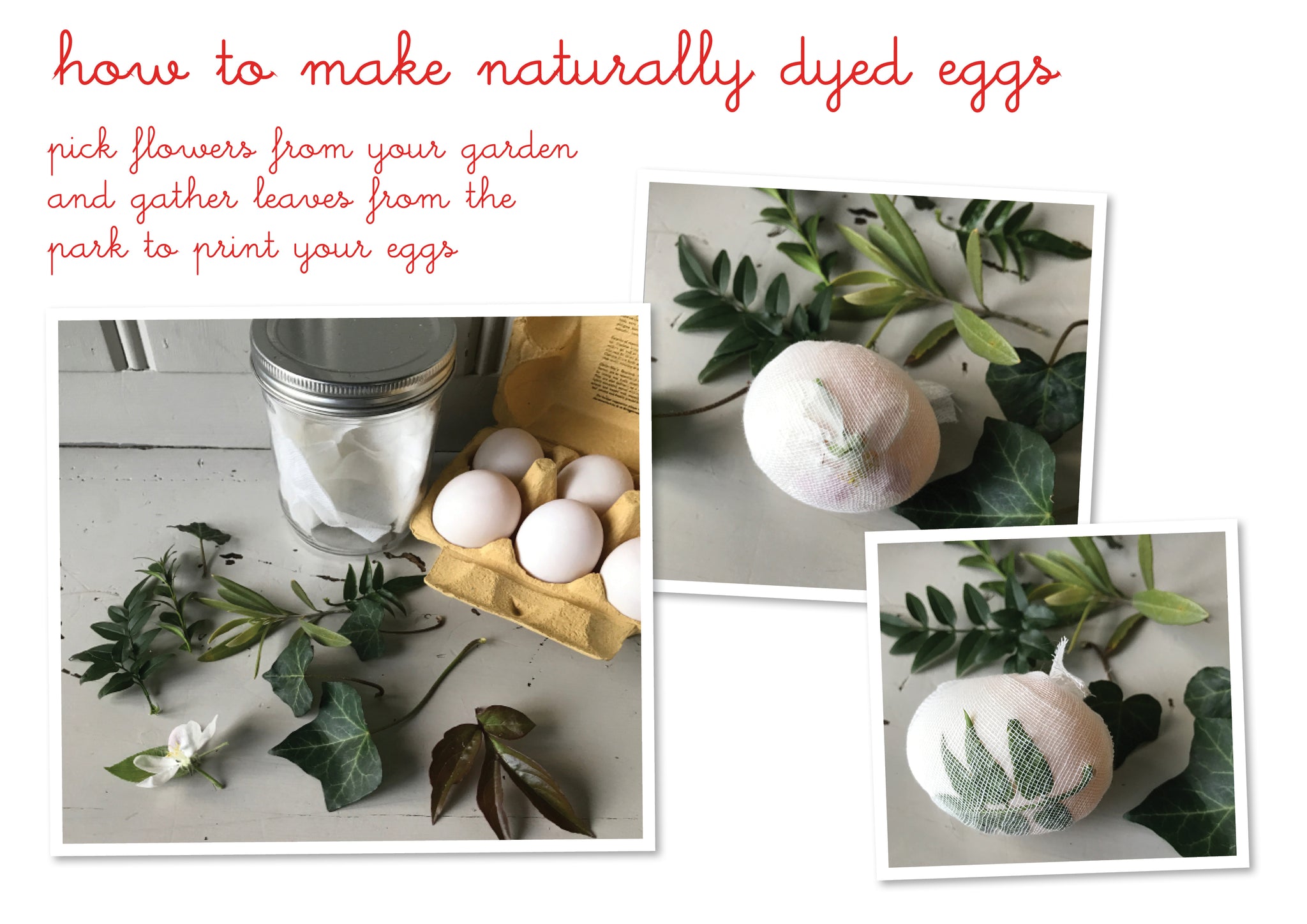 naturally dyed easter eggs