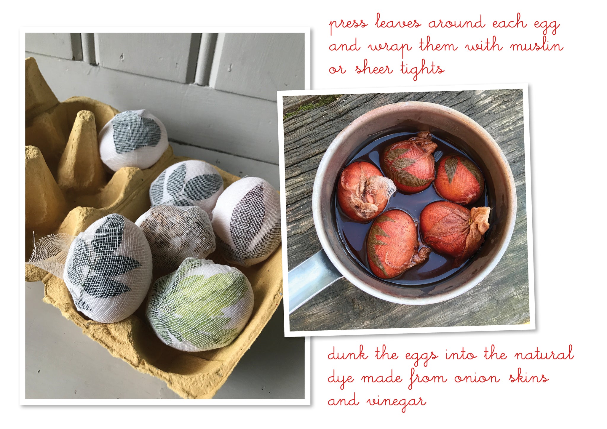 naturally dyed easter eggs