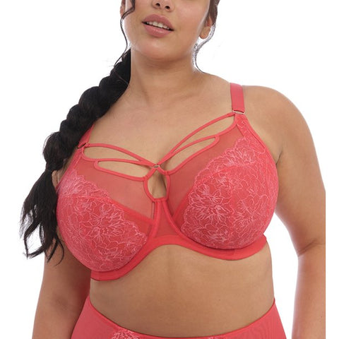 Elomi Sachi Matching Strappy Thong (4357)- Red Confetti - Breakout