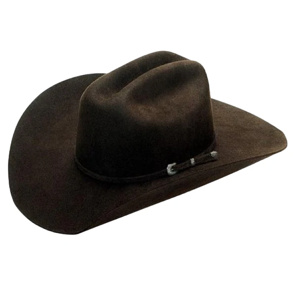 M&F Twister Men's Dallas Chocolate Felt Cowboy Hat