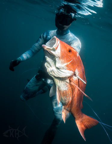 Destin Red Snapper Spearfishing Charter