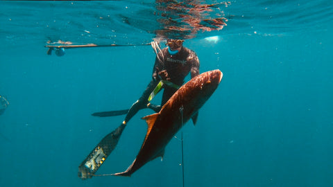 Destin Amberjack Spearfishing Charter