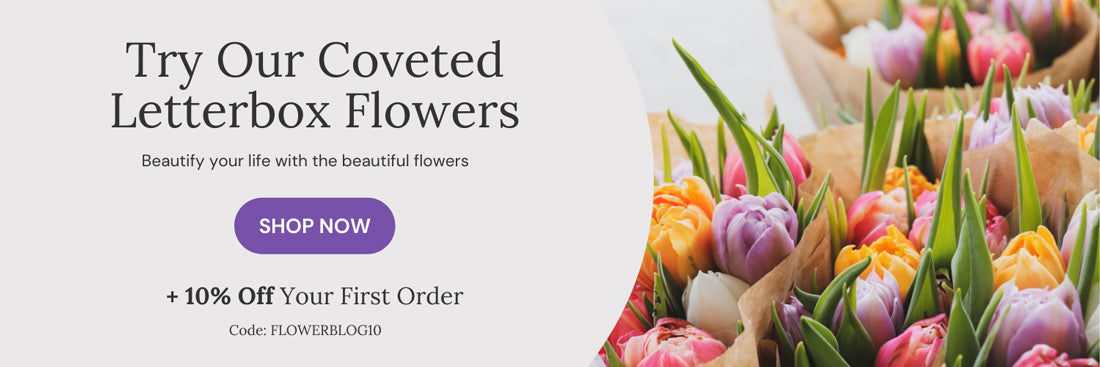 Letterbox flower discount banner