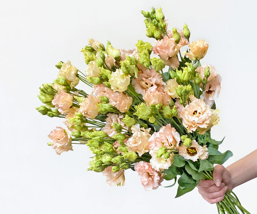 Apricot peach bouquet of lisianthus summer flowers - LOV Flowers