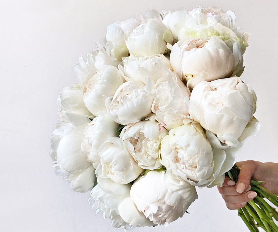 Bouquet of white peonies peony flowers - LOV Flowers