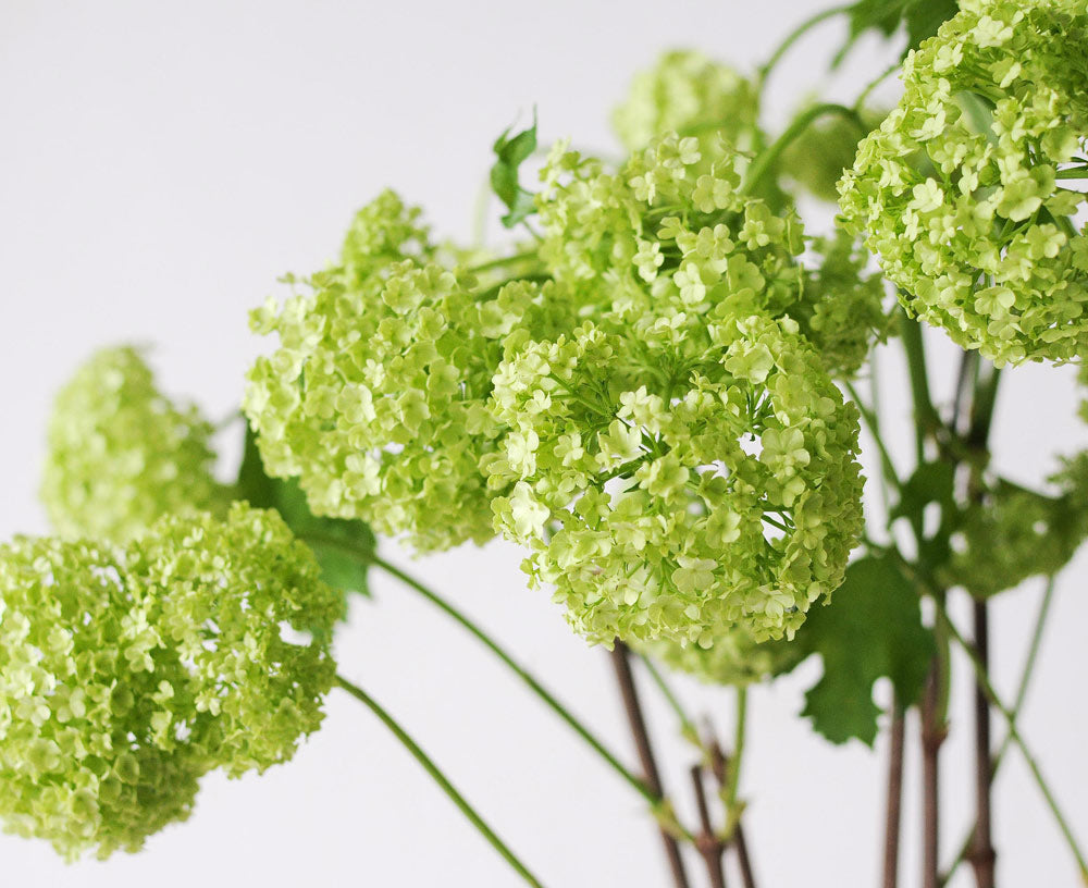 Green Viburnum Flower St Patrick's Day Decoration