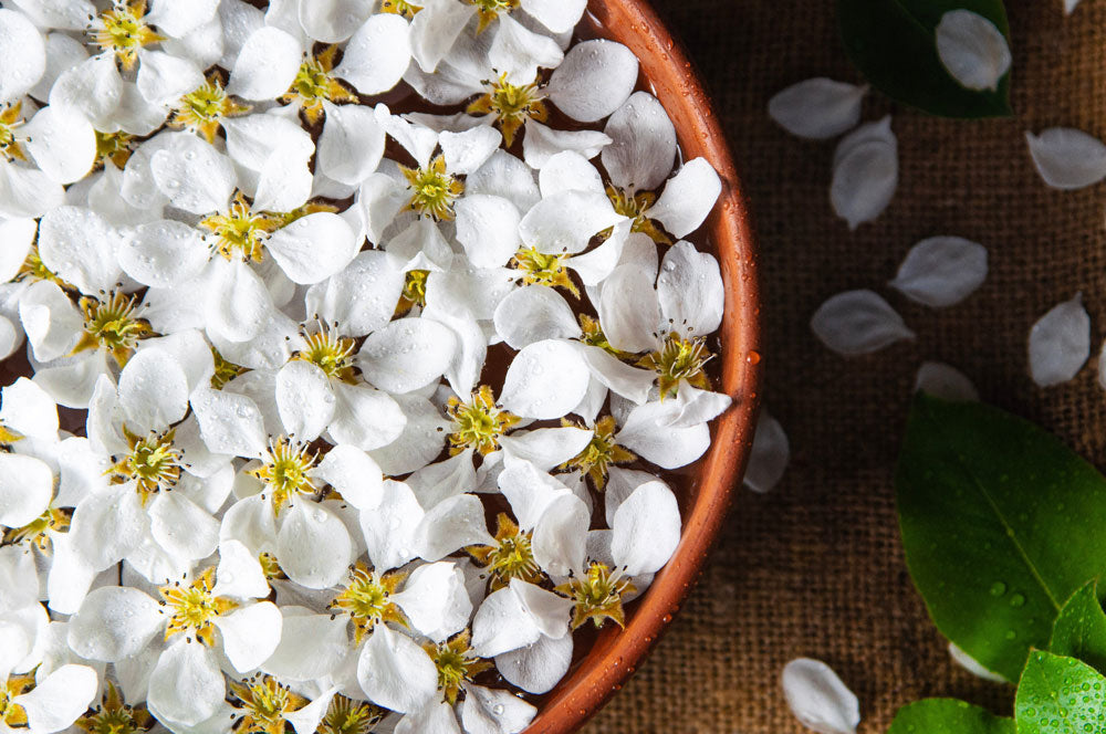 Jasmine Flowers