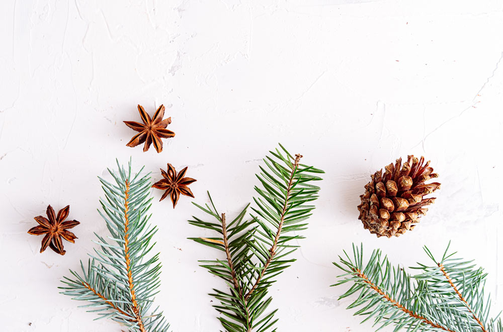 3 Popular Christmas Decorations Themes – LÖV Flowers