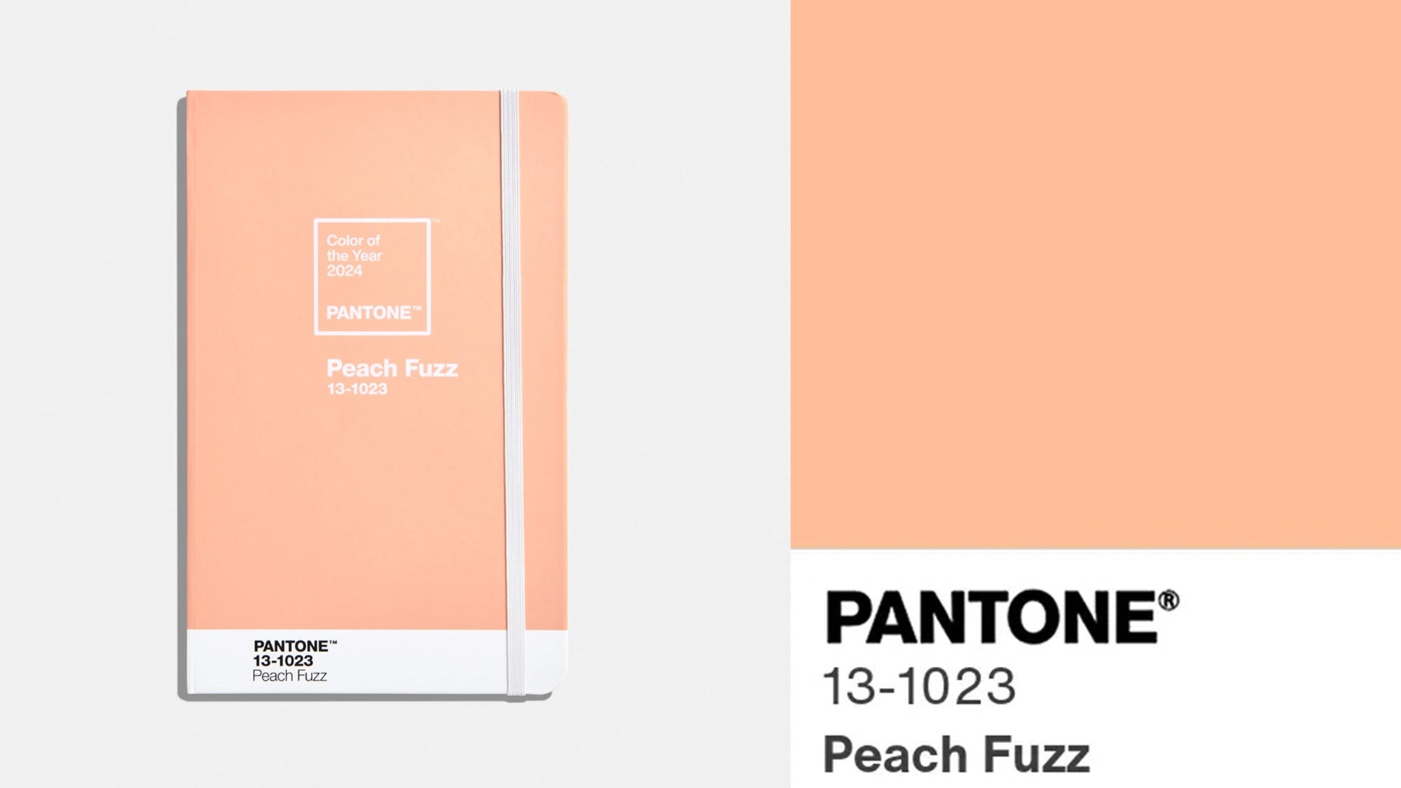 Pantone Colour of the Year 2024 Peach Fuzz