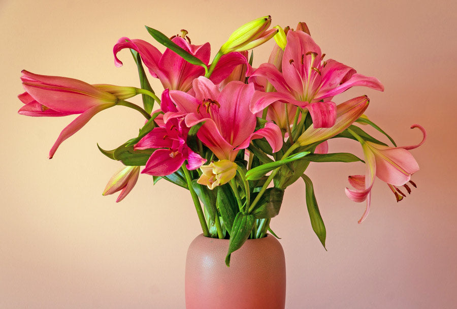 Pink lilies in vase - LOV Flowers