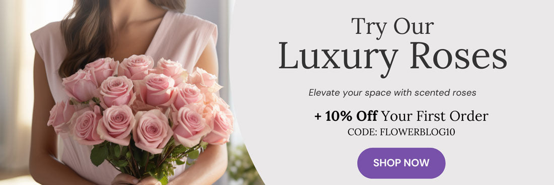 Luxury Roses Delivery