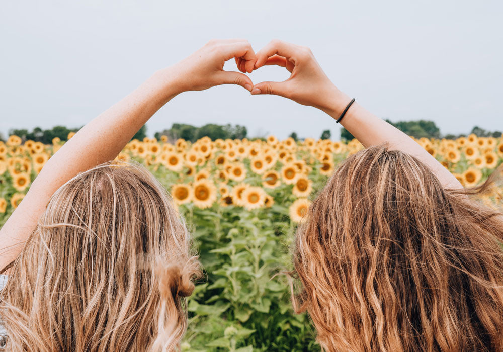 Women creating heart shaped hands on a sunflower field