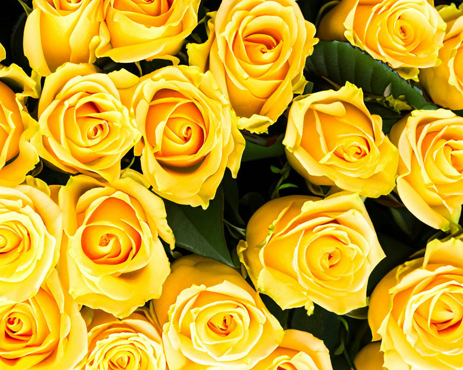 Yellow Roses Symbolise Friendship