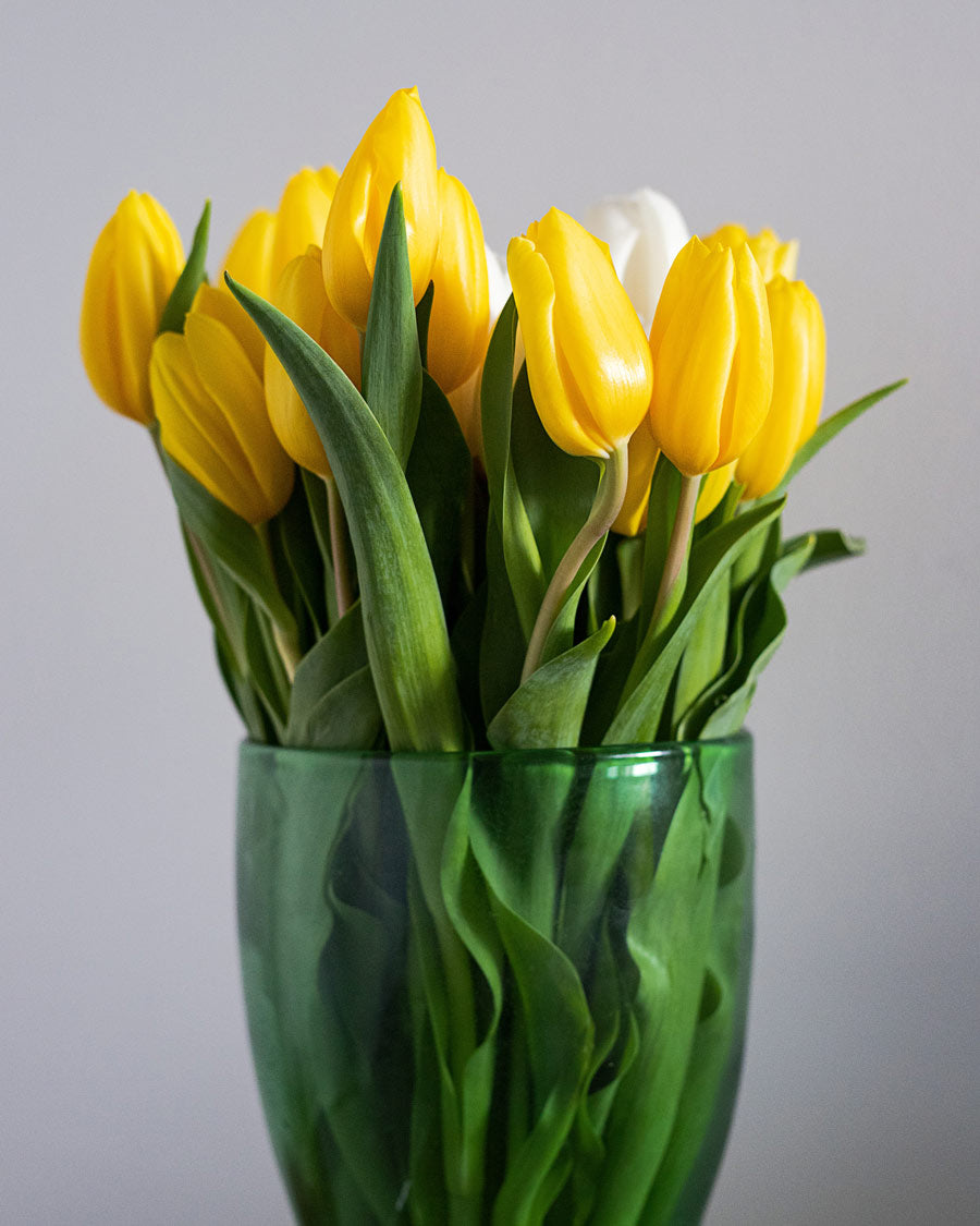 Yellow tulip spring flowers in a glass vase