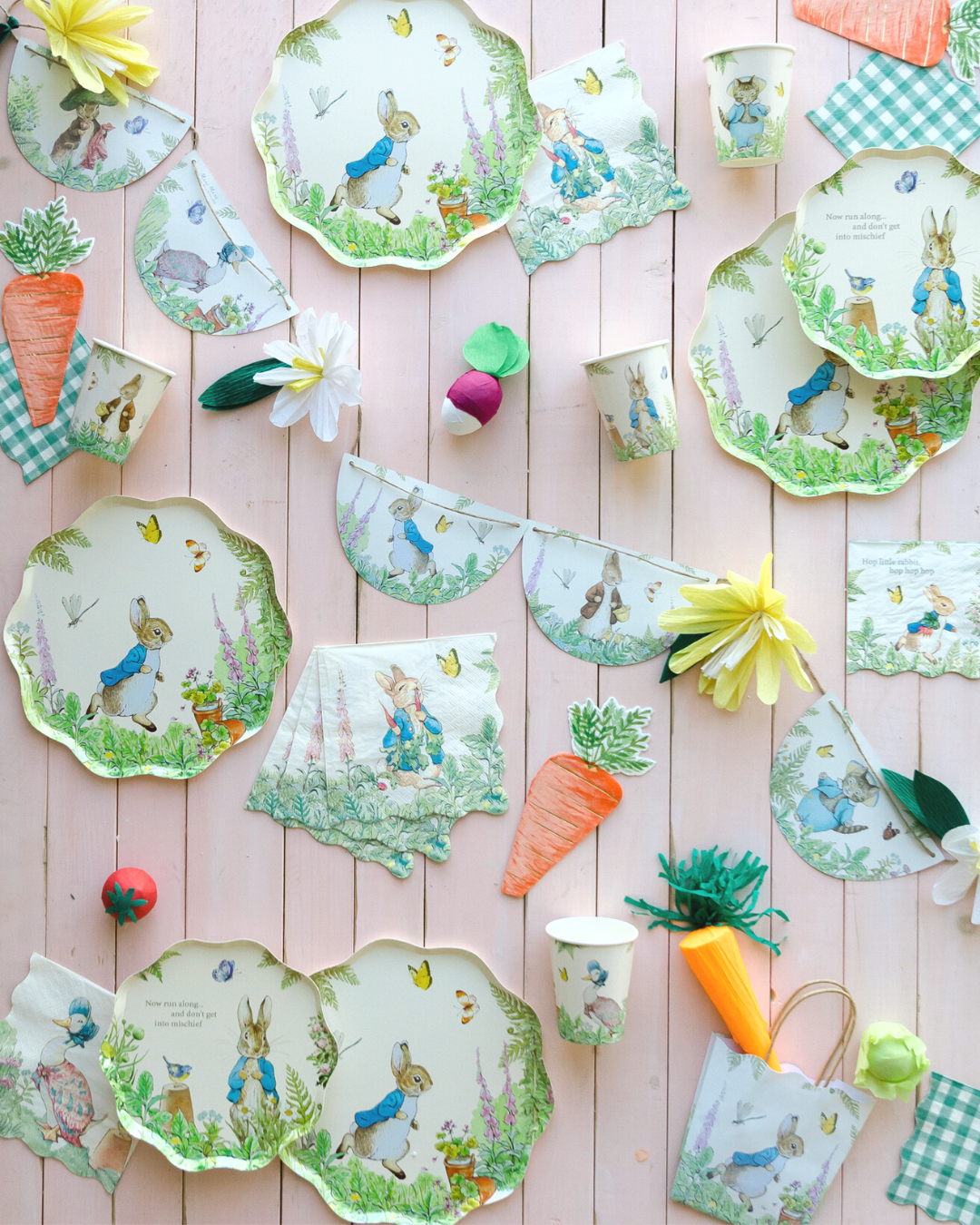 Peter Rabbit party supplies.