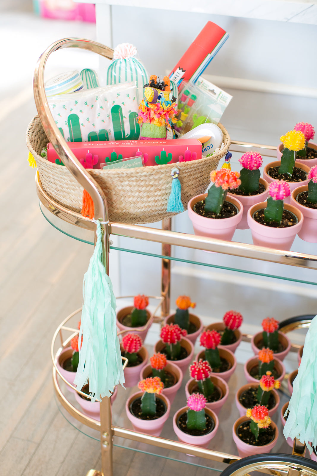 Bar cart decorated with mini potted cacti and cactus gifts. 