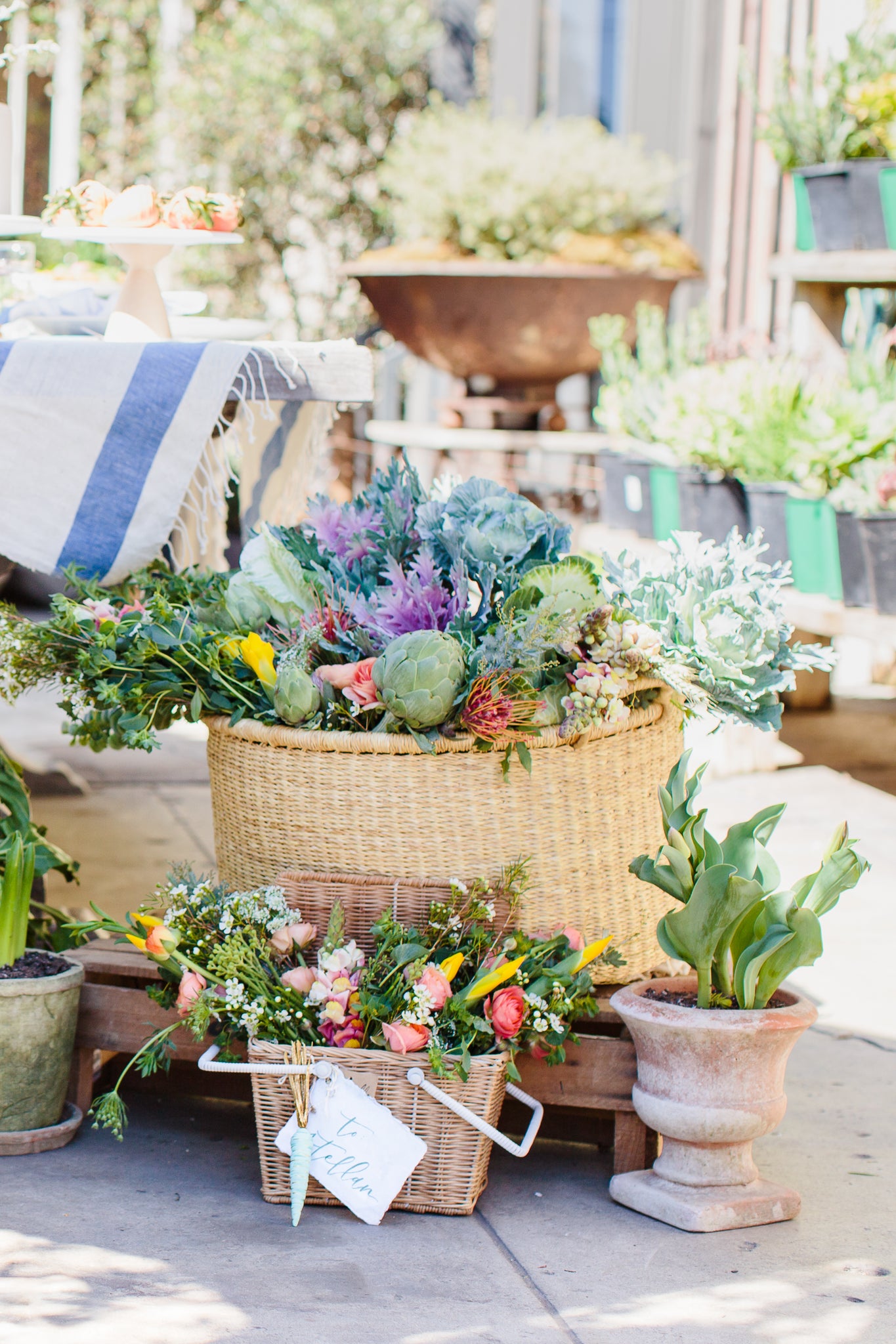 Peter Rabbit themed party garden scenery and decorations.