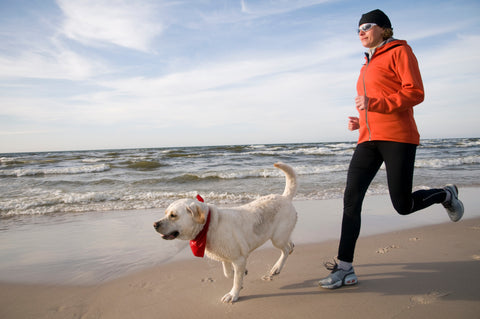 beach run with dog