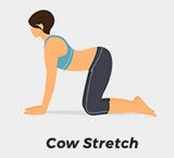 cow stretch illustration
