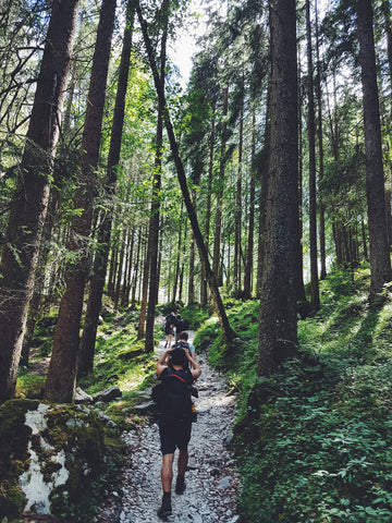 hiker in PNW forest