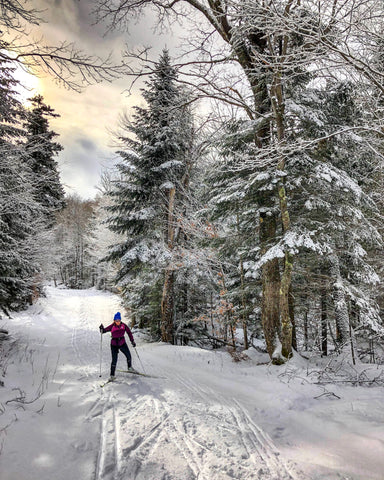 cross country skier in forest