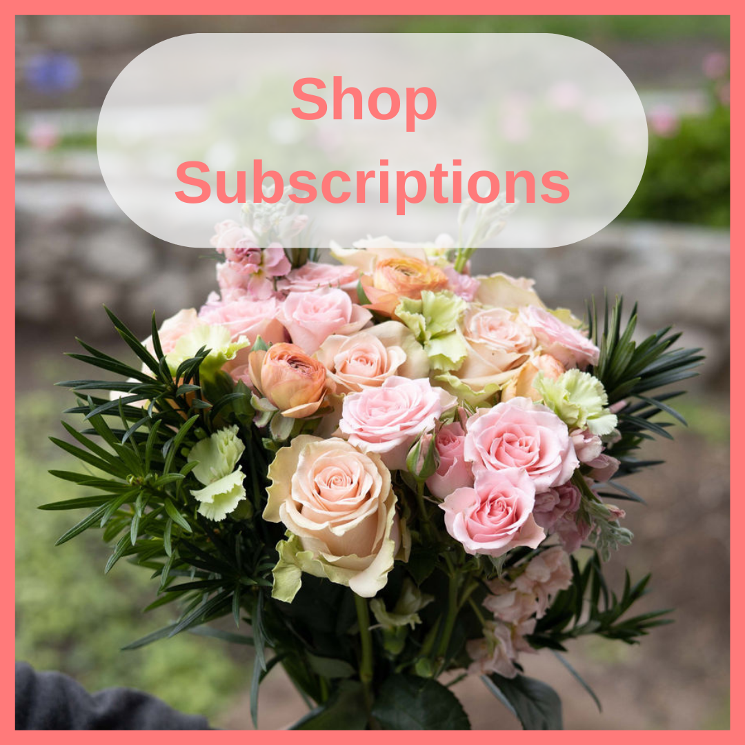 Shop Subscriptions