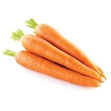 Carrot Farmbuyz