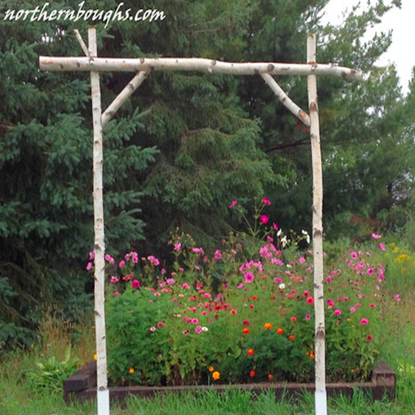 Five Piece White Birch Wedding Arch Northern Boughs