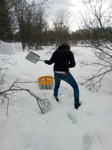 Buried disc golf basket