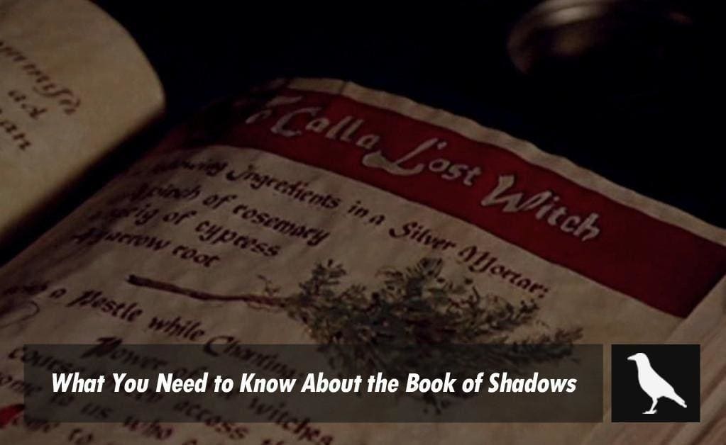 what hunts inside the shadows book