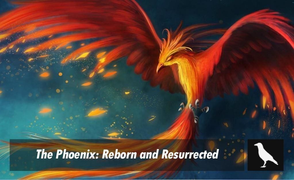 reborn phoenix