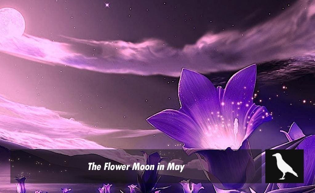 The Flower Moon in May The Moonlight Shop