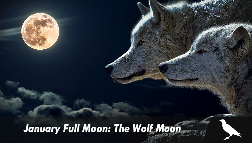 January Full Moon The Wolf Moon The Moonlight Shop