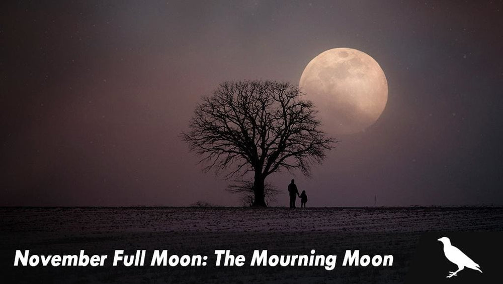 November Full Moon The Mourning Moon The Moonlight Shop