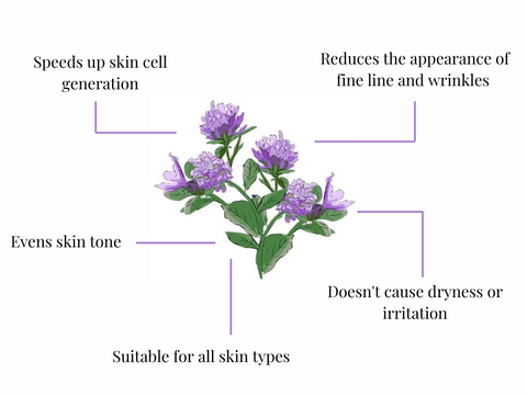 Benefits of Bakuchiol