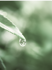 pure-water