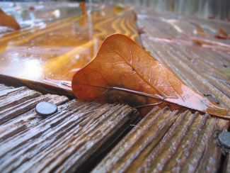 wooden deck