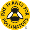 This plant great for pollintaors such as bees