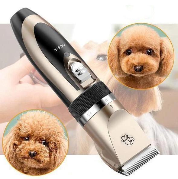 large dog clippers