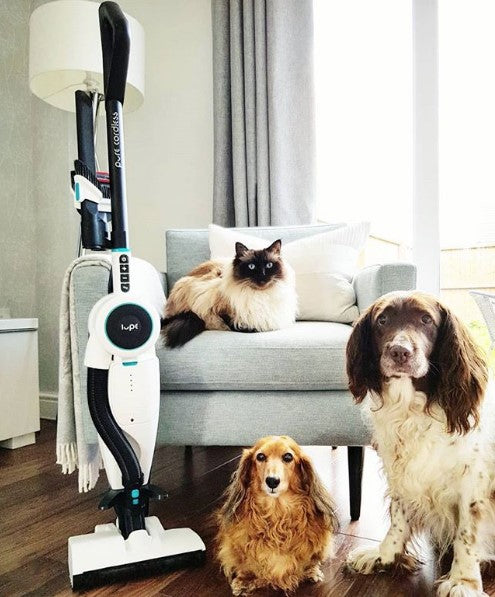 Pure Cordless pet friendly vacuum cleaner 