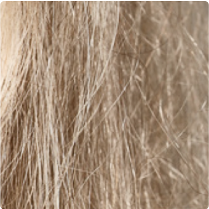 Close-up of light brown hair strands.