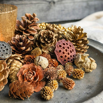 100 Mini Pine Cones 100% Natural 3cm to 5 Cm 