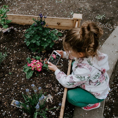 little girl crouches over a flower in a garden bed taking a picture with a smartphone