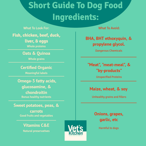 What food is healthy for dogs? 