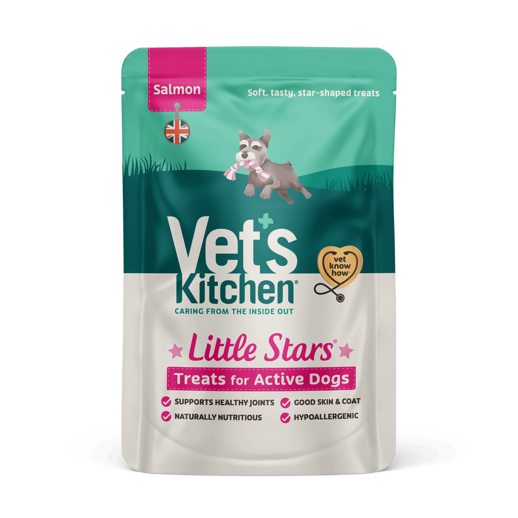 are salmon treats good for dogs