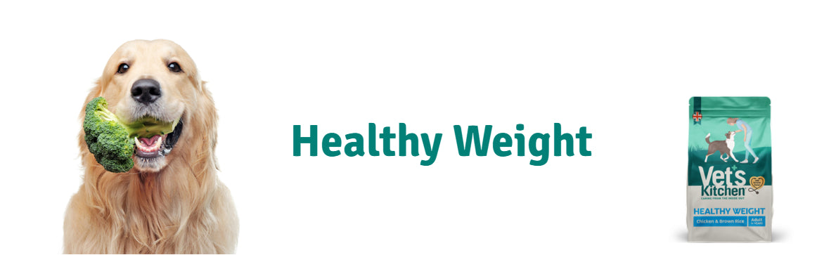 Healthy Weight