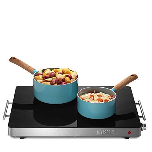 Shabbat Hot Plate Double Enamel Panel Electric Saver - On Sale - Bed Bath &  Beyond - 34844169