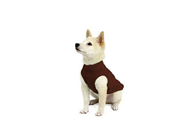 dog bomber jacket large