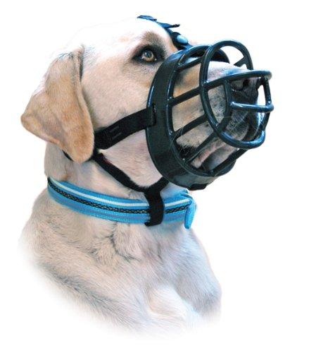 basket muzzle for dogs petsmart